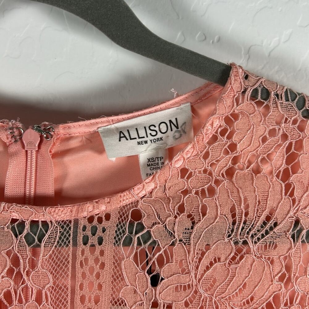 ALLISON NY Blush Lace Tiered Midi Dress XS NWT Cottagecore Romantic - Picture 6 of 6